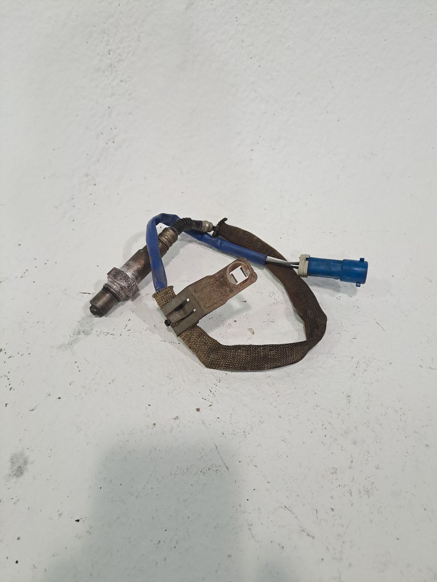SONDA LAMBDA FORD FOCUS
