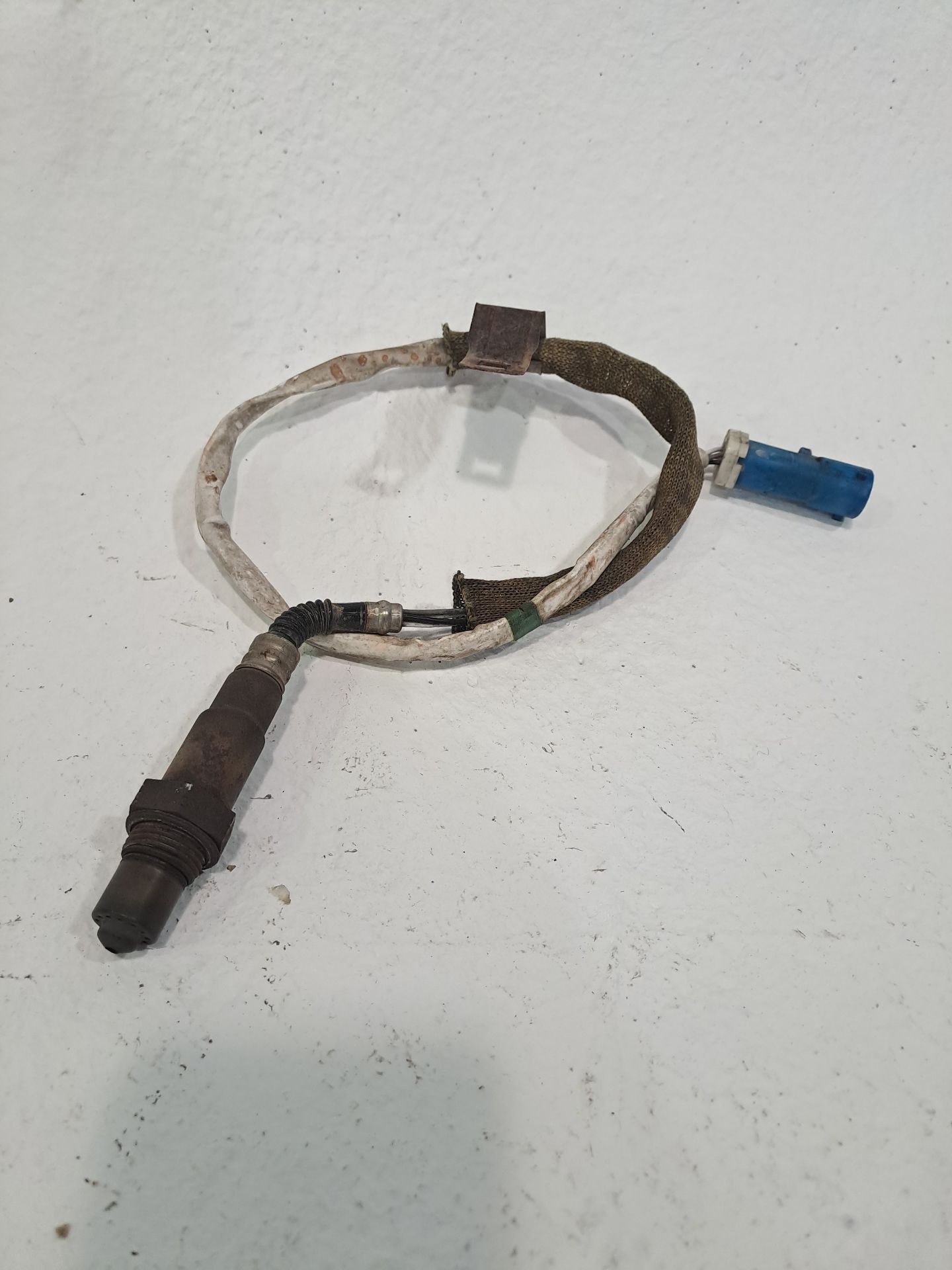 SONDA LAMBDA FORD FOCUS