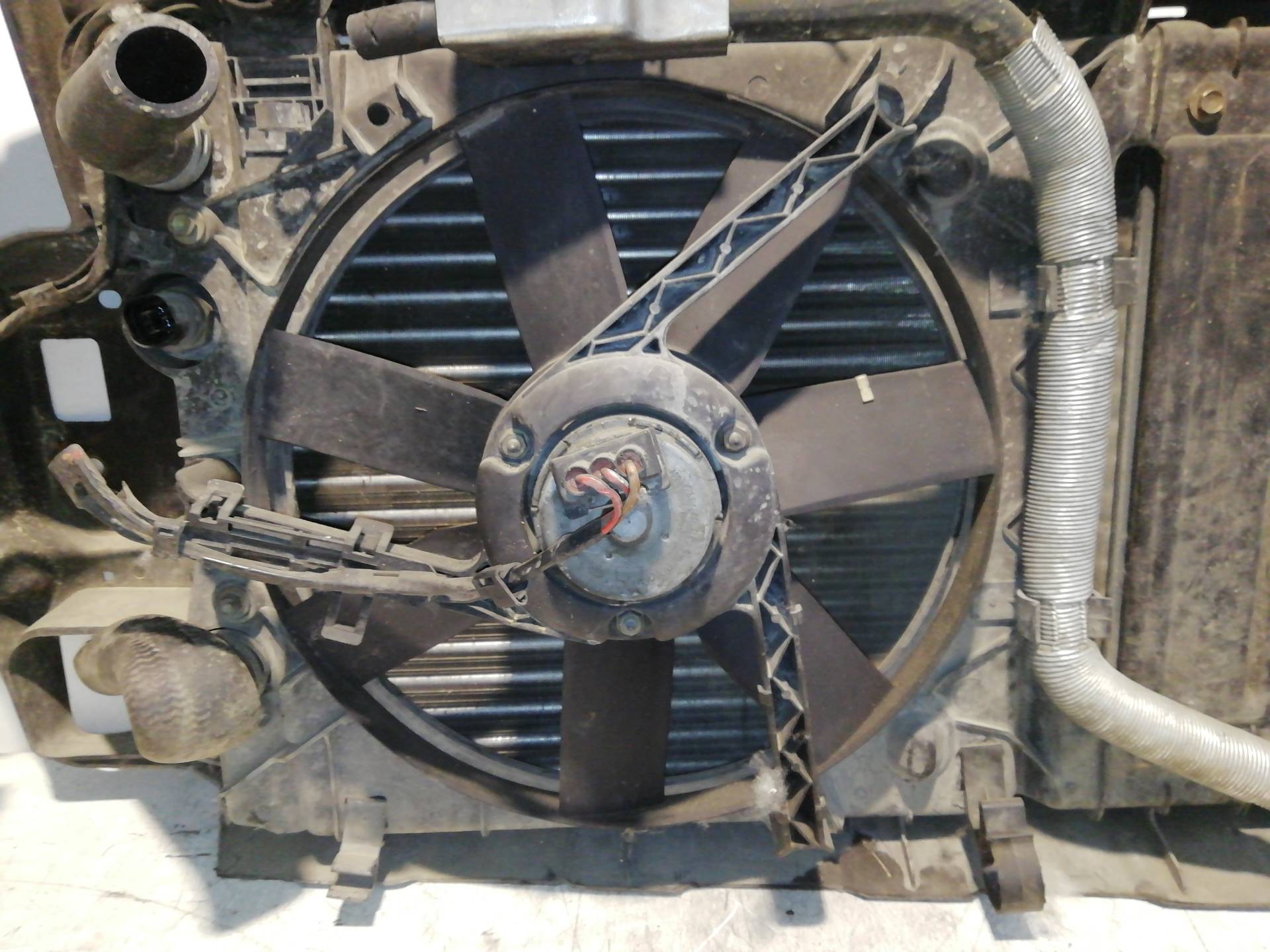 Radiator fan FERRARI 360 (F131)