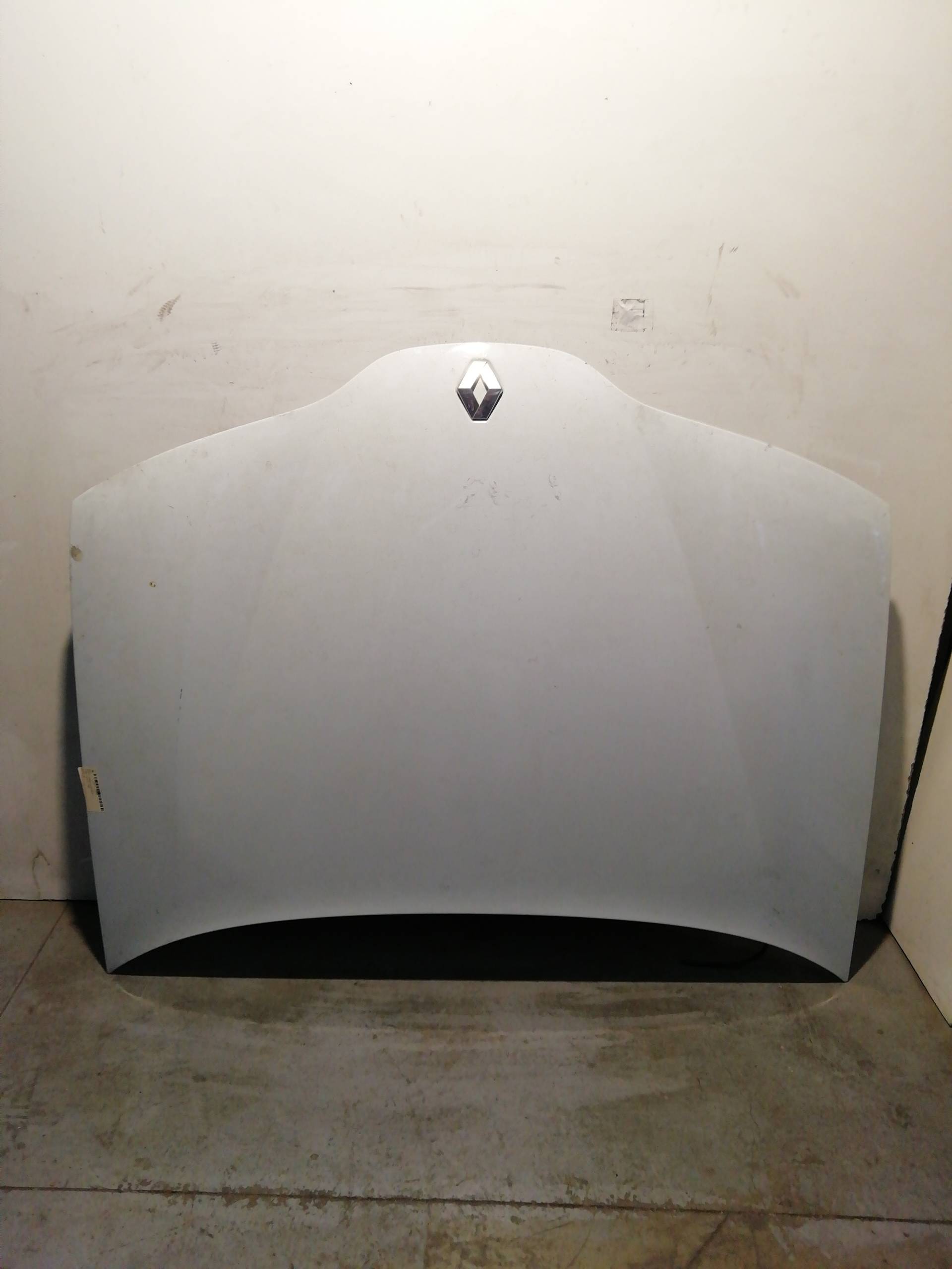 Bonnet/Hood RENAULT LAGUNA II (BG0)
