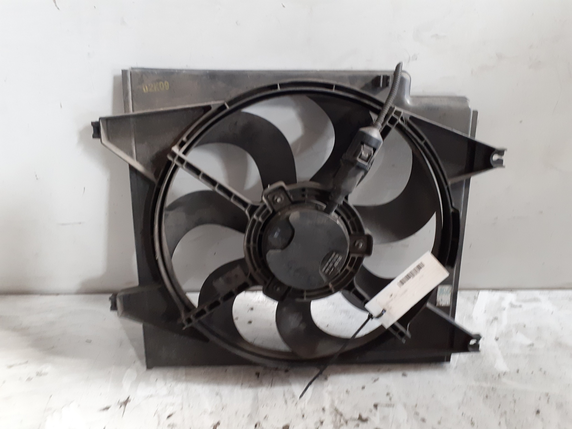 Radiator fan KIA CARENS