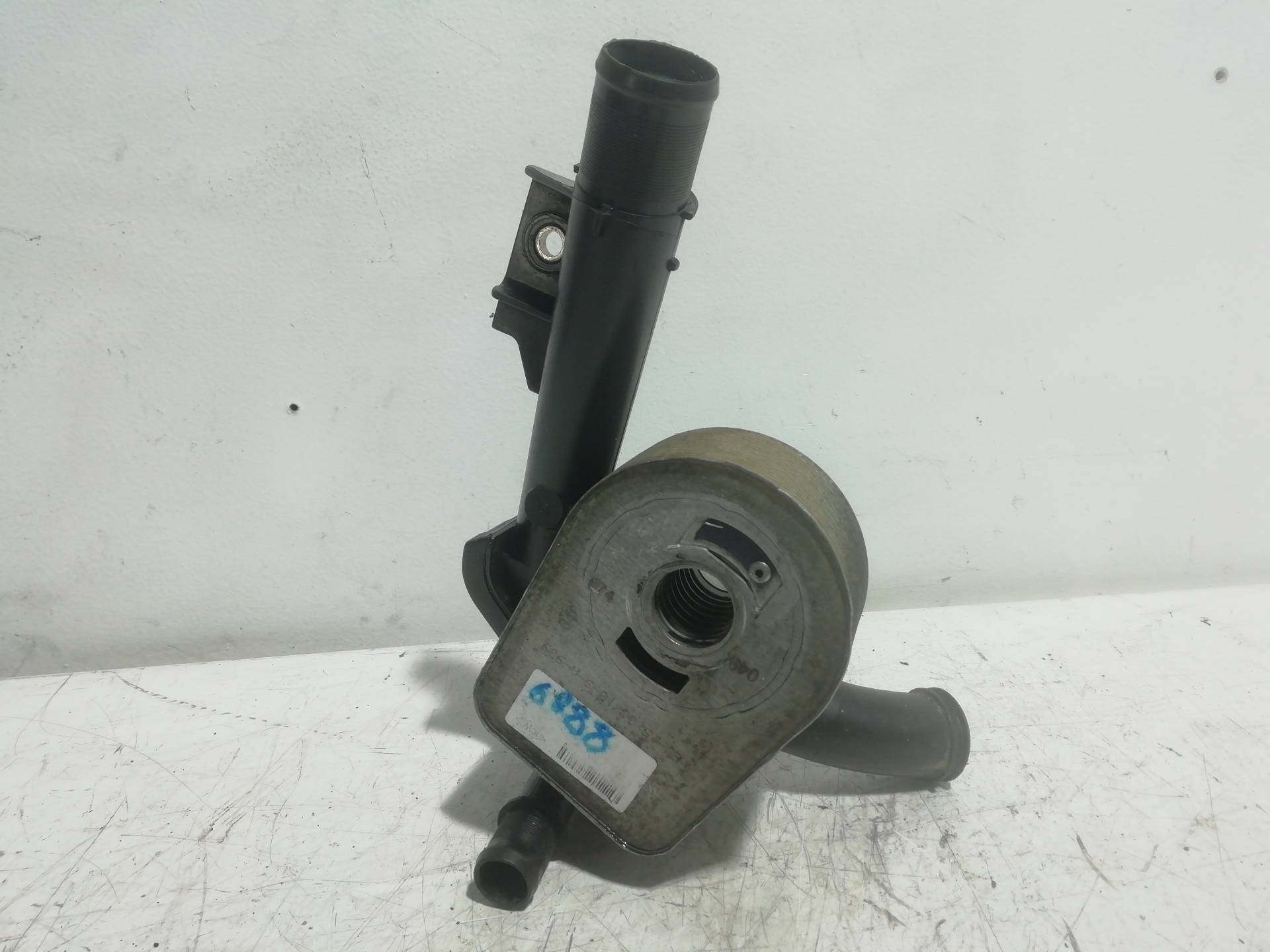Oil Cooler RENAULT KANGOO