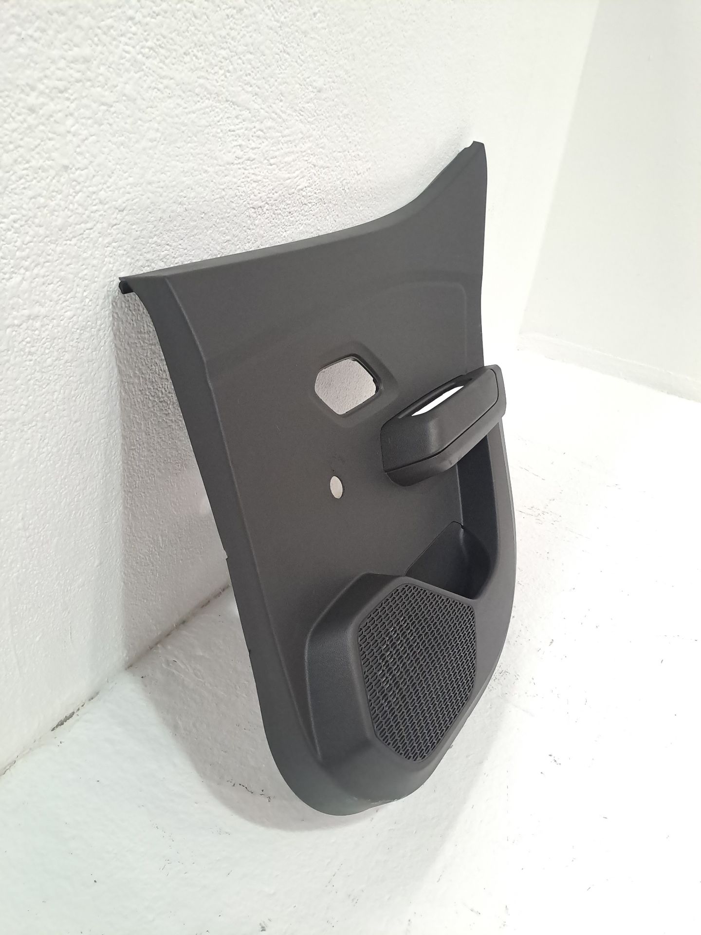 Rear Right Door Trim Panel DACIA SANDERO III