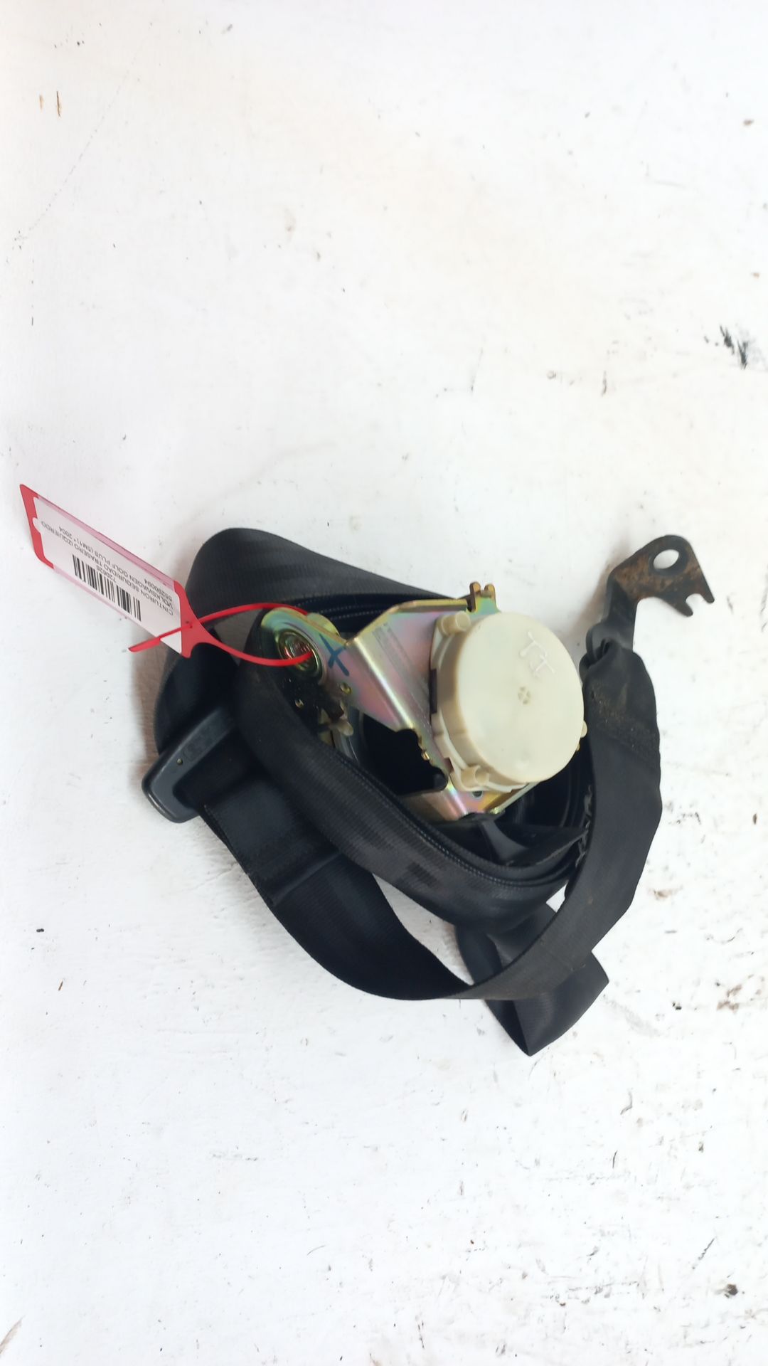 Rear left seat belt VOLKSWAGEN GOLF PLUS (5M1)