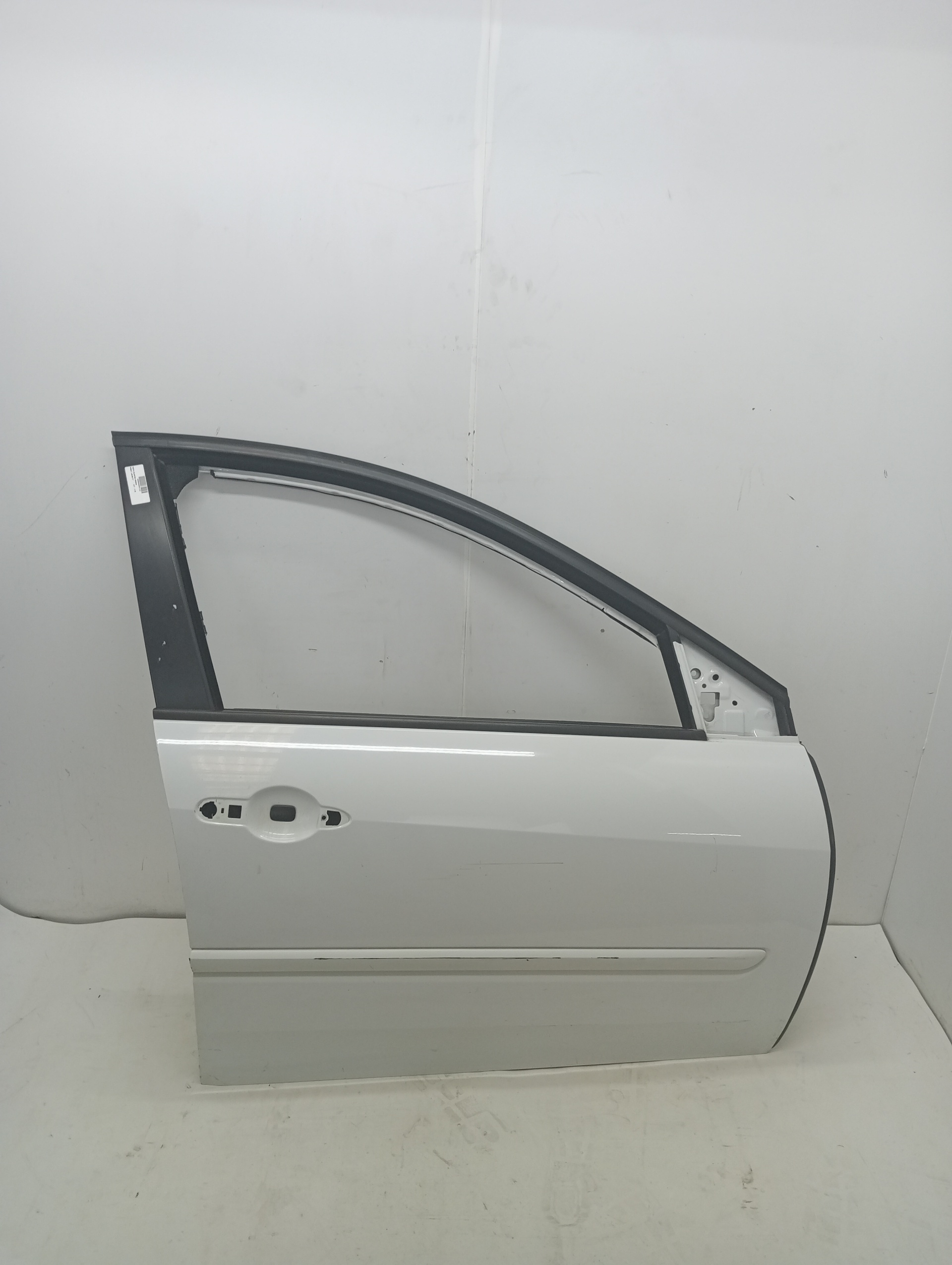Front Door Right RENAULT LAGUNA III