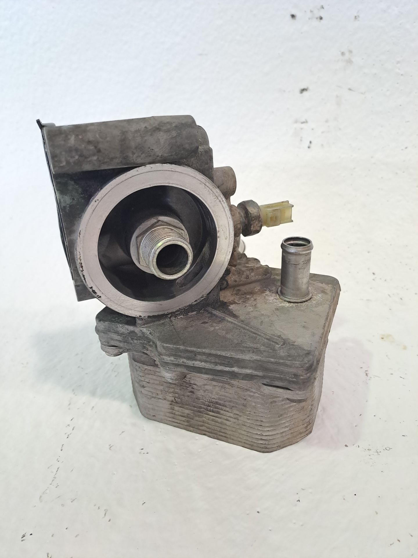 Oil Cooler FORD TRANSIT CONNECT (TC7)