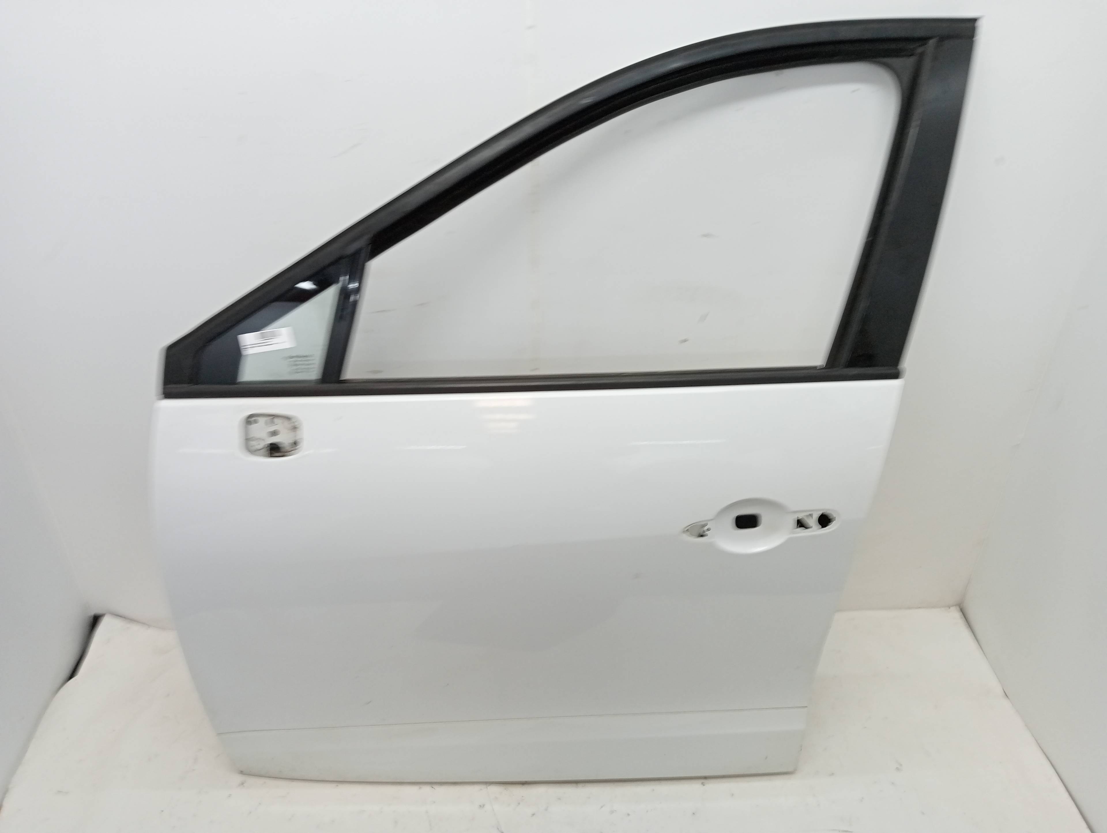 Front Door Left RENAULT SCENIC III
