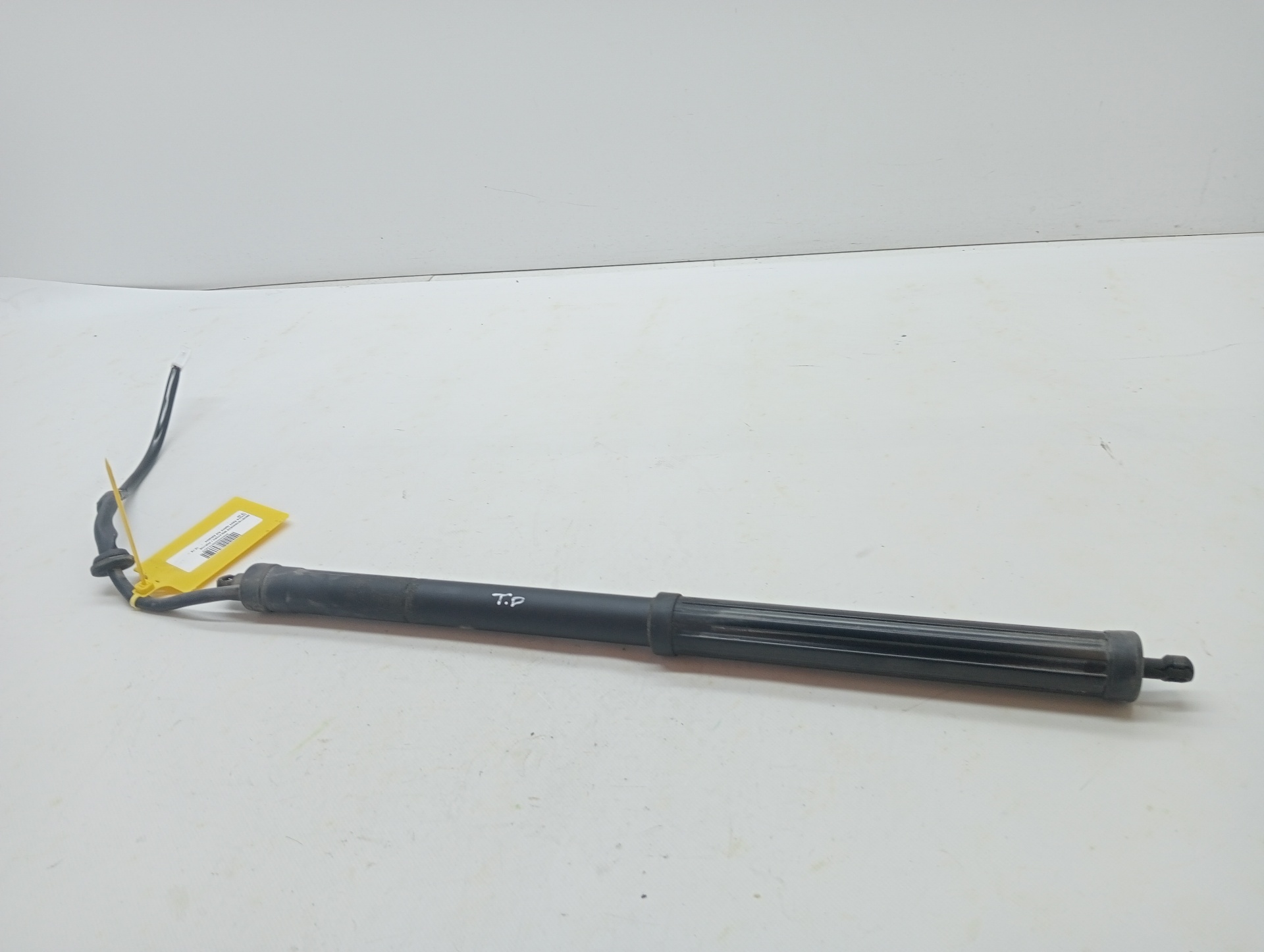 Boot / Tailgate Gas Struts TOYOTA RAV4