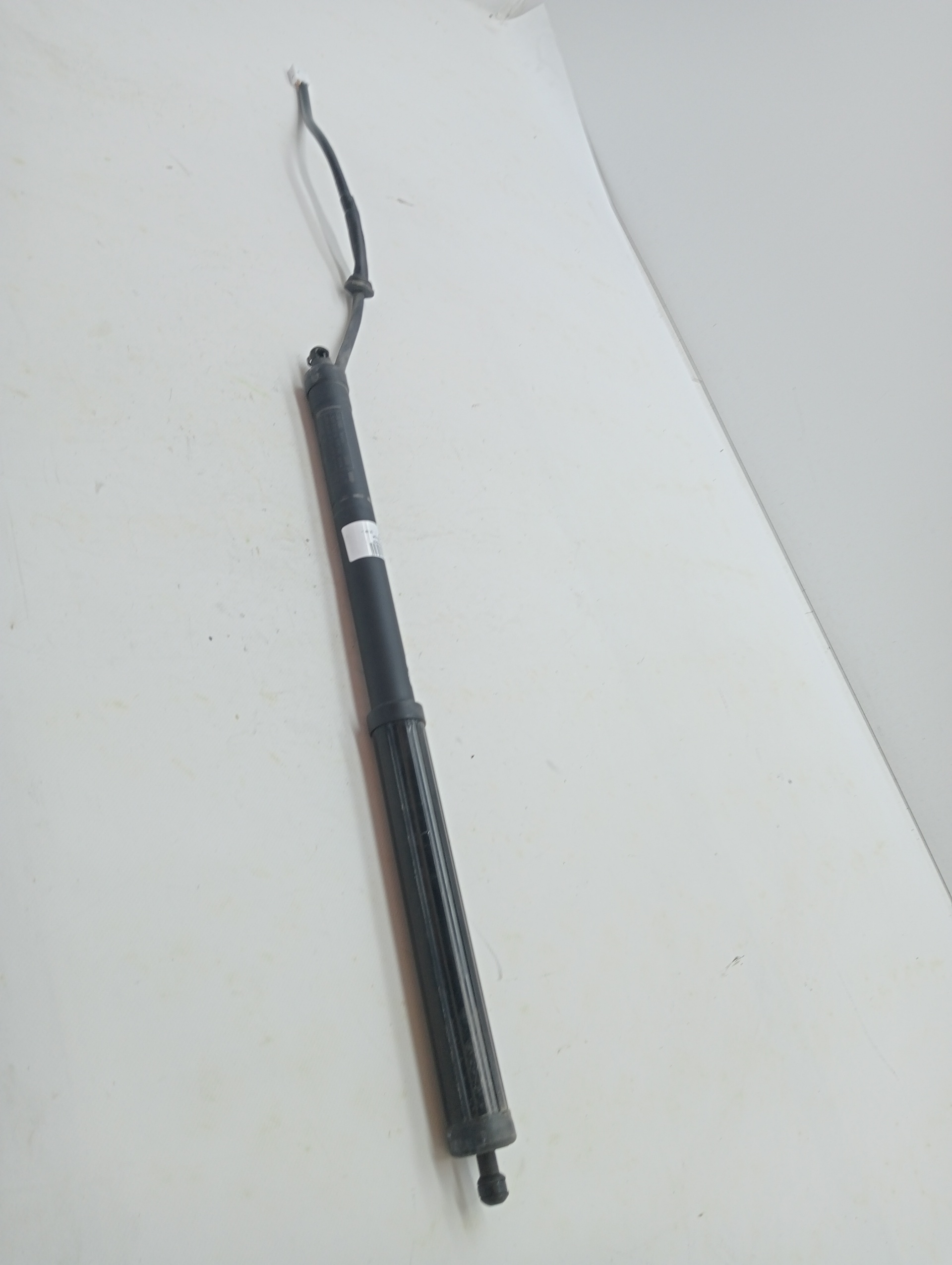 Boot / Tailgate Gas Struts TOYOTA RAV4