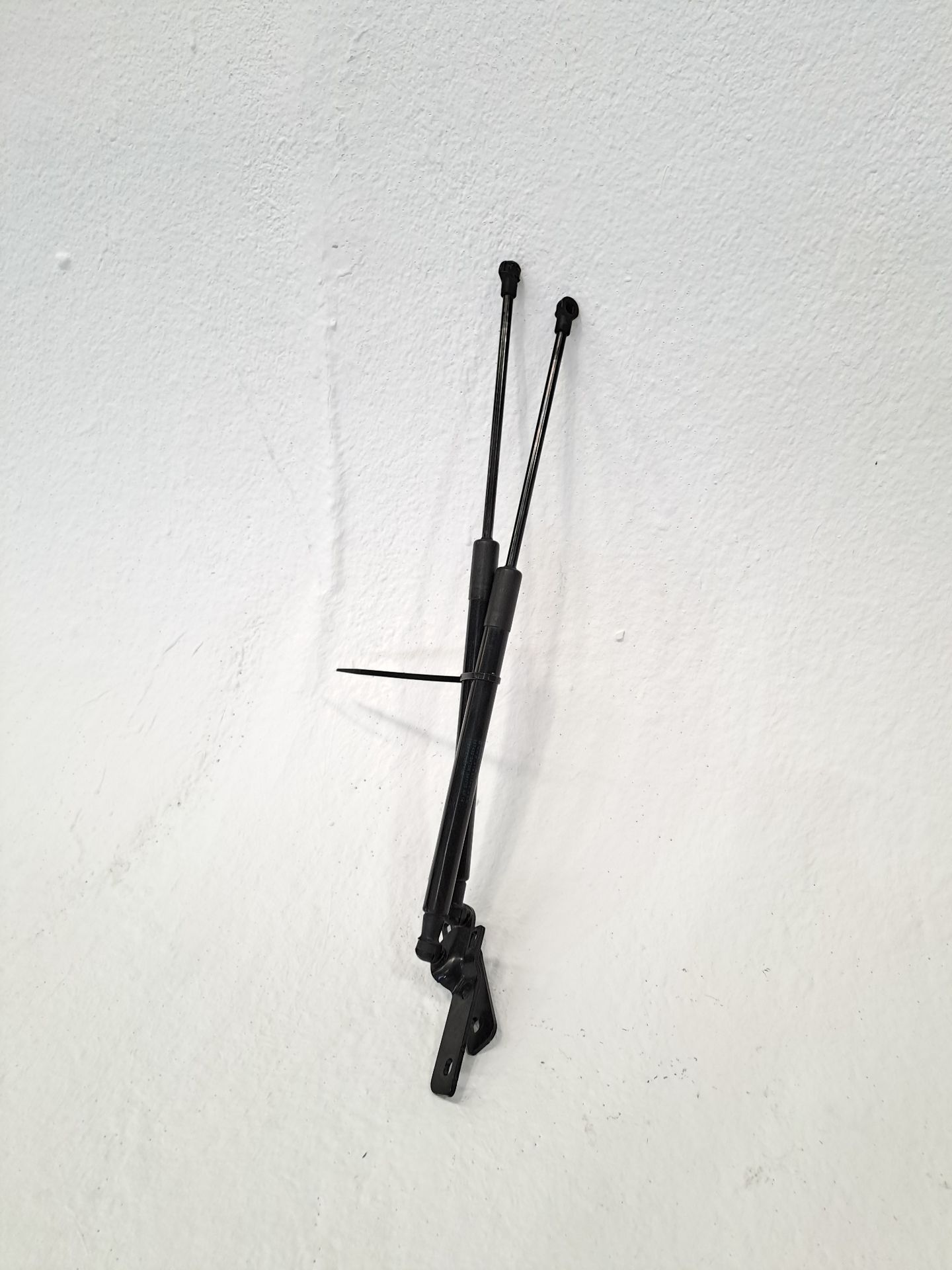 Boot / Tailgate Gas Struts BMW 1 (F20)