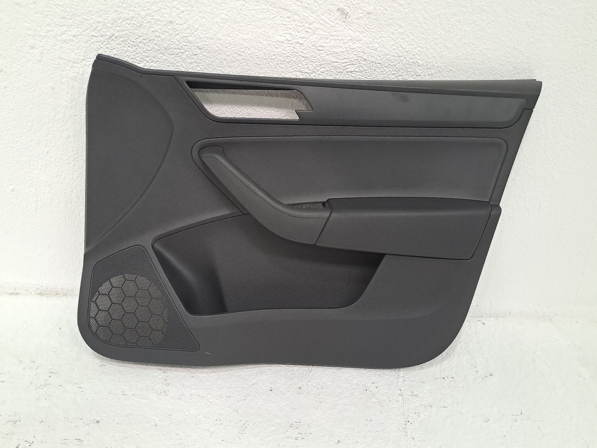 Front Right Door Trim Panel SKODA RAPID