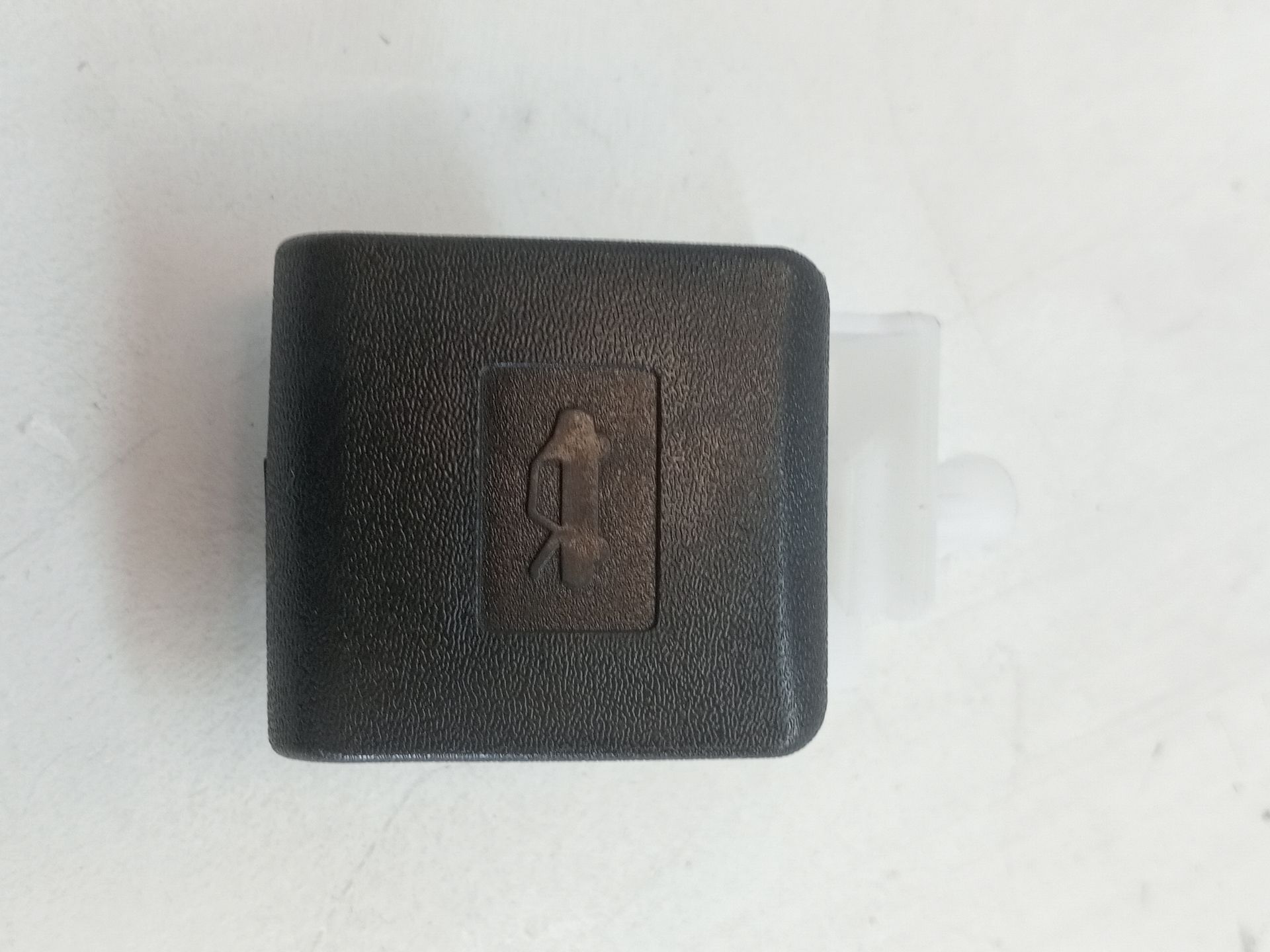 PLASTICO TESLA MODEL S
