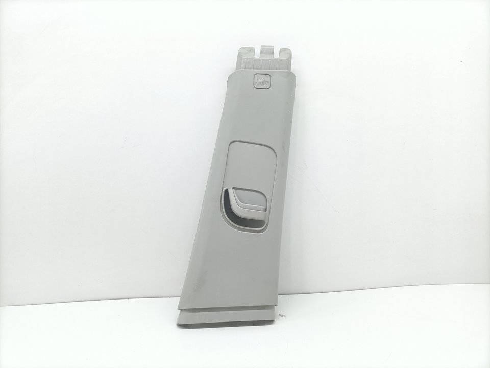 Trim Panel NISSAN QASHQAI (J10)