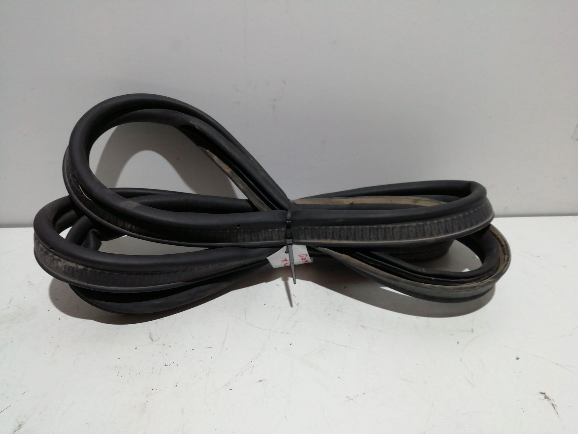 Door Seal RENAULT ESPACE IV (JK0)