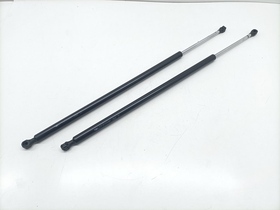 Boot / Tailgate Gas Struts FIAT SCUDO FURGÓN (272)