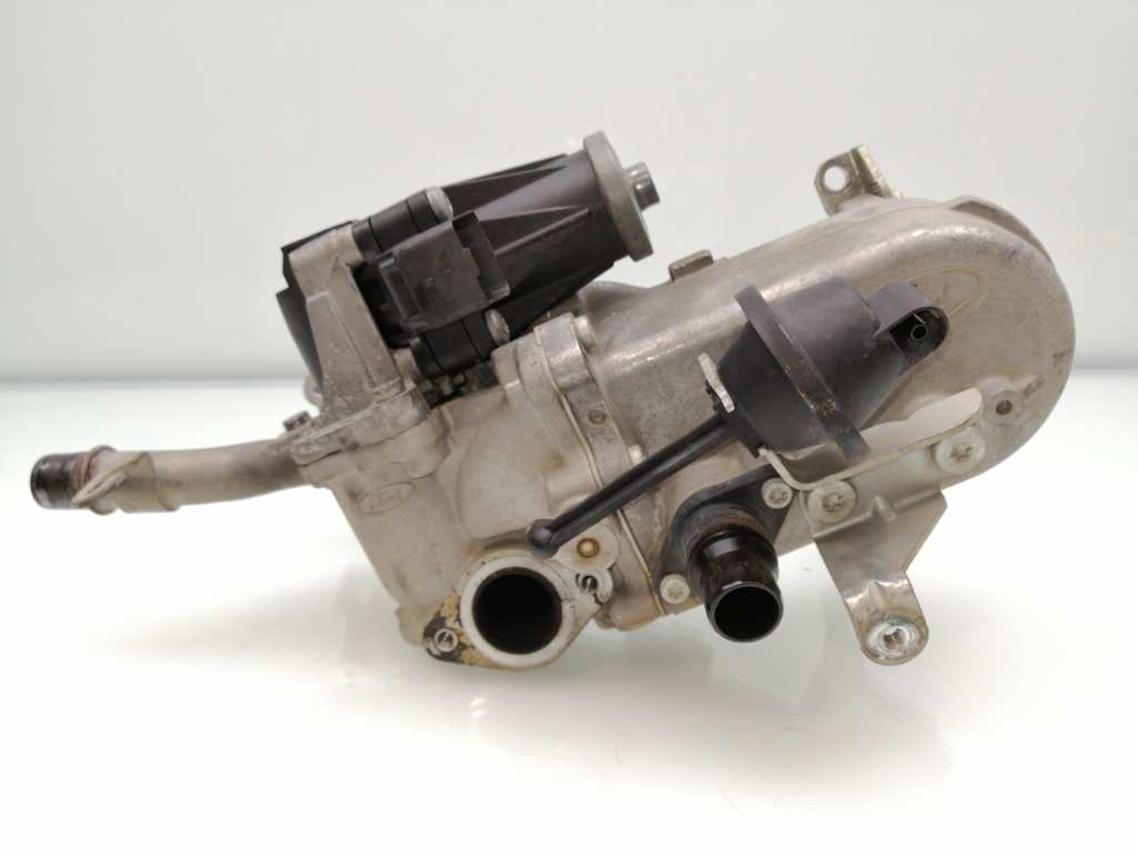 EGR valve NISSAN NAVARA NP300 (D40)