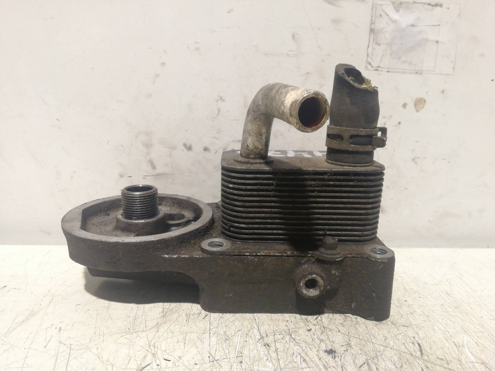 Oil Cooler FORD FOCUS BERLINA (CAK)